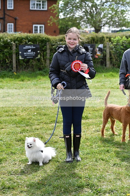 WJ5_9859 - Class 3 Most Handsome Dog
