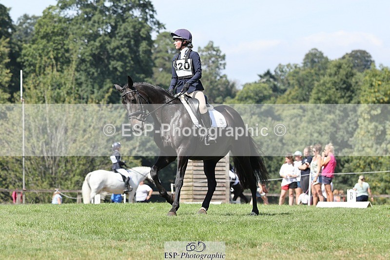 250823A-122453-29504 - Arena D