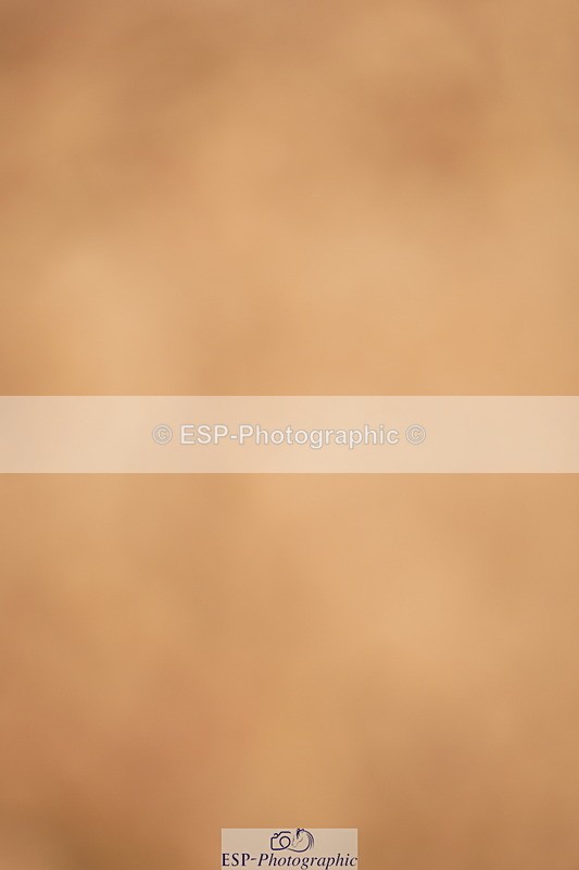 240526A-091916-07074 - Cls 30 Snr 1.20m Open