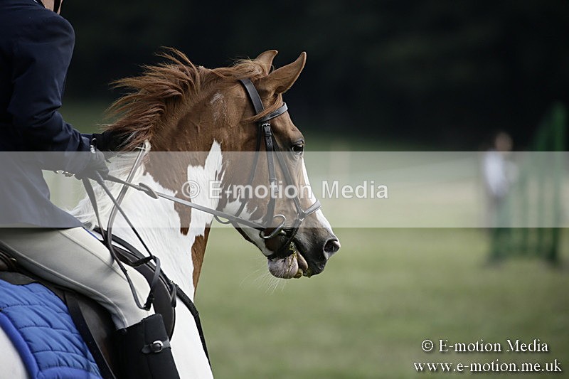 BVR090918 382 - BVRC Dressage and Show Jumping 09/09/18