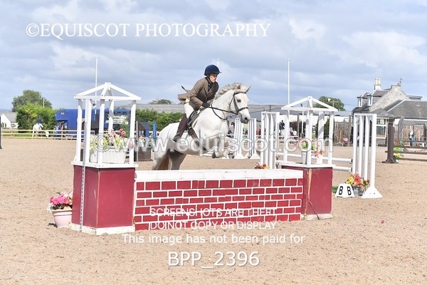 BPP_2396 - DERBY CLASS 7 - 80CM