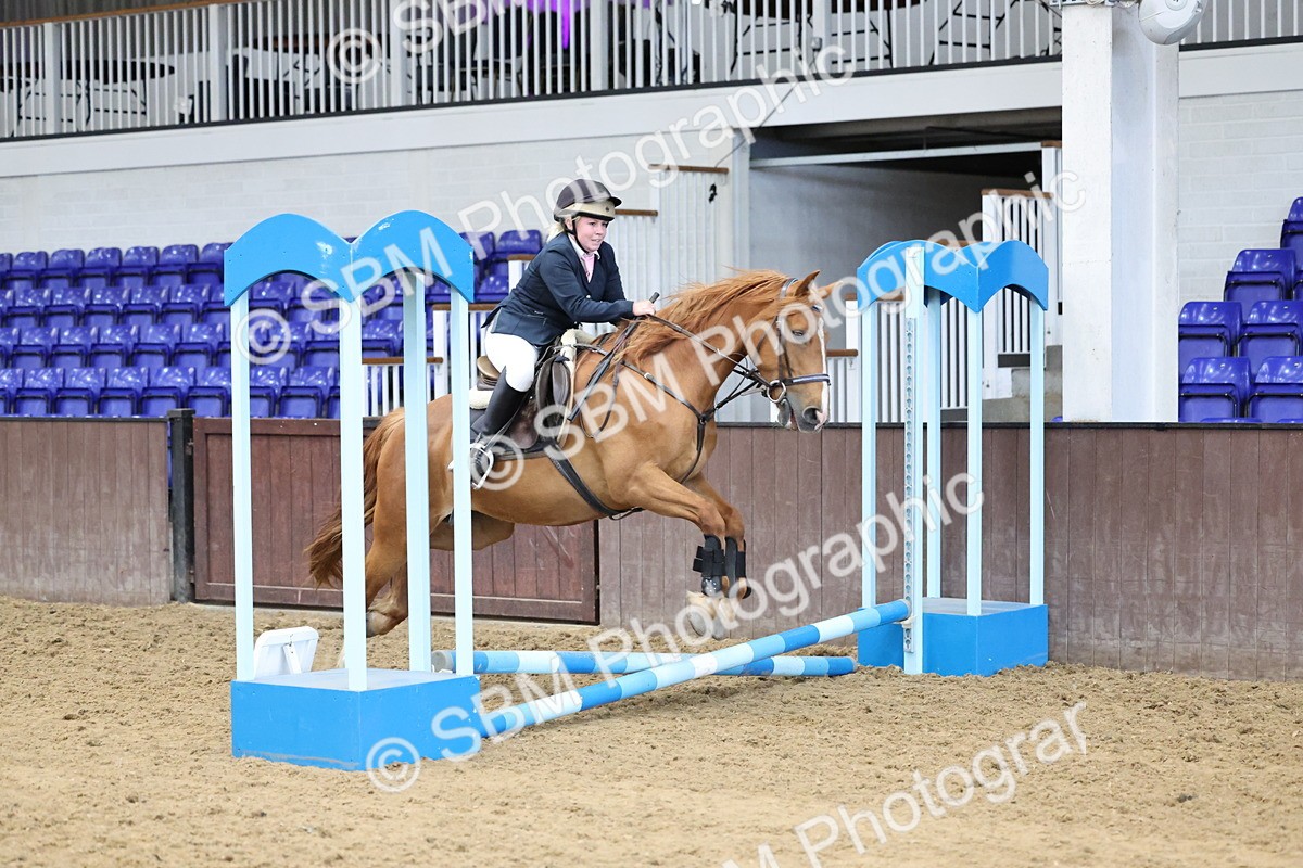 SBM_006995 - Class 1 - 40cm showjumping