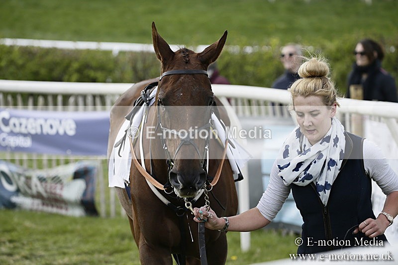PtP 170417 396 - Old Berks Point-to-Point Lockinge 17/04/17