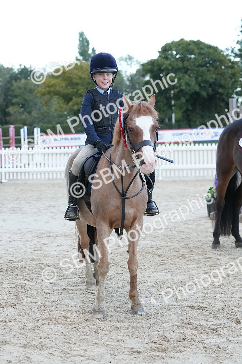 SBM_54255 - Supreme Championship 60cm 65cm