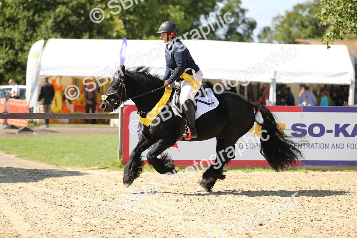 SBM_04832 - J28 - Senior Horse & Pony 60cm Championships