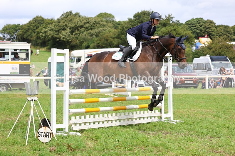 3E7A6970 - Class 5: Senior British Novice/90cm open