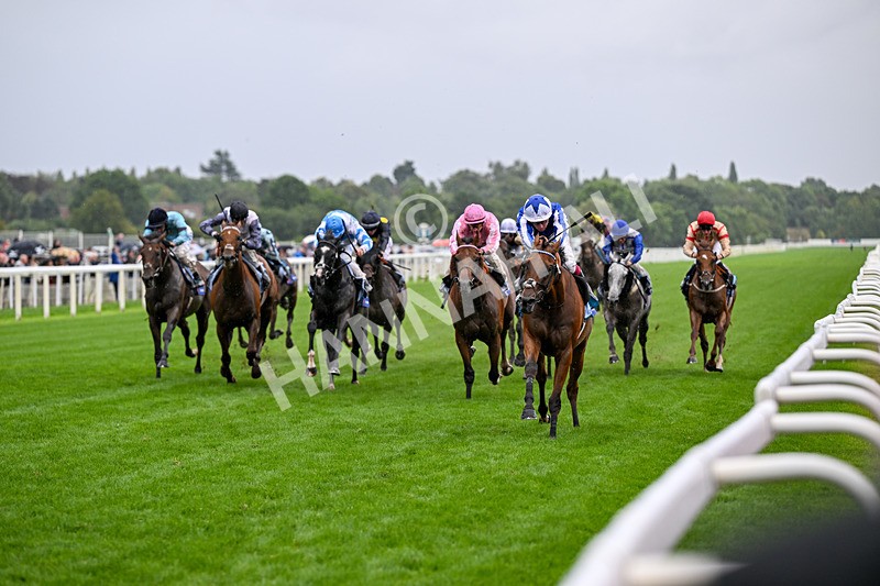 200826-Race 3-The Lost King-3355 - Race 3 15.00pm Sir Kevin Sinfield 7 In 7 Grand Finale Handicap