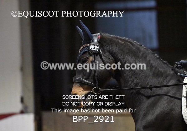 BPP_2921 - ELEM TEST 4