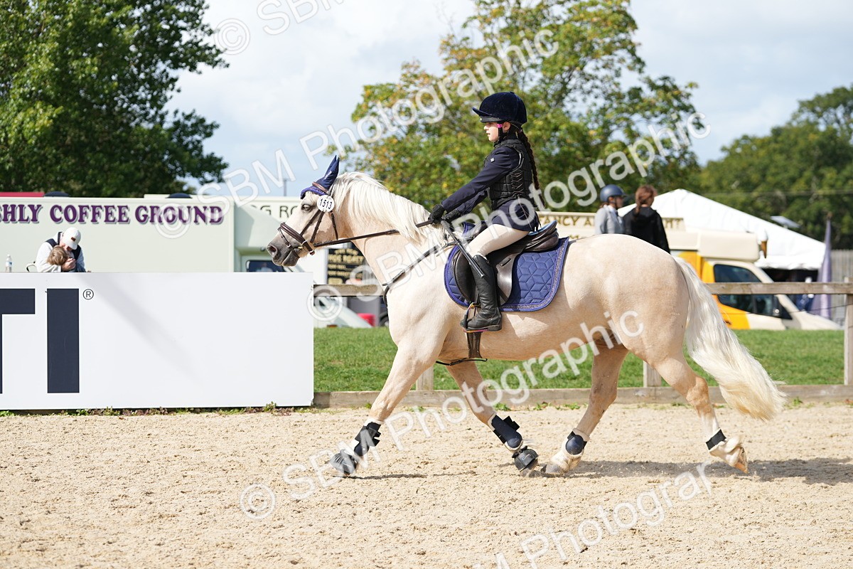 SBM_18150 - J58 - Clear Round 50cm