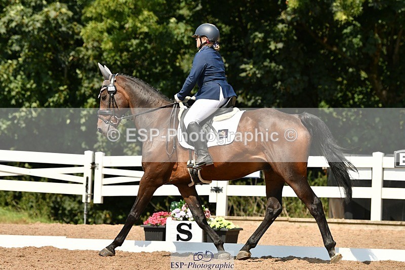 250817-134030-10031 - 033-Frankie.TorodeFirst.Impression.VI