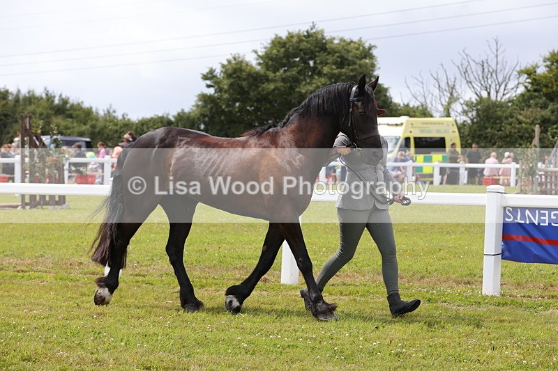 1X9A4765 - Class 35: Veteran In Hand