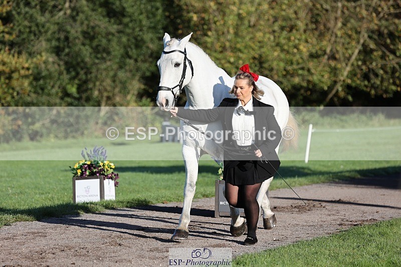 241027-090206-14977 - 461-Olivia.Radcliffe-CHALKY'S.DREAM