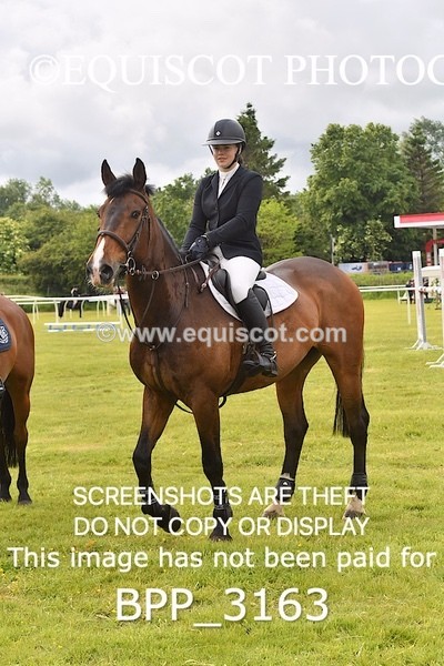 BPP_3163 - CLASS 2 SENIOR FOX/1.20M OPEN