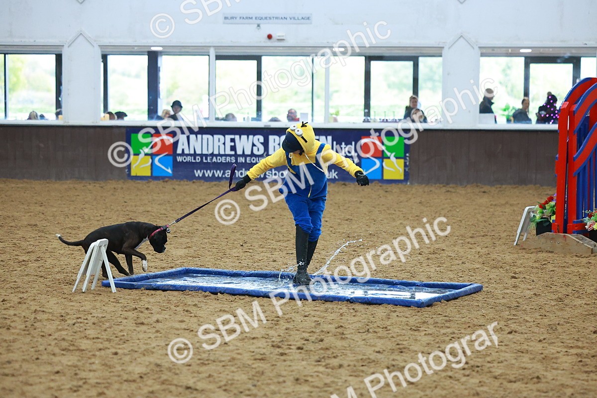 SBM_002258 - Class 3 - Horse & Hound (60cm)