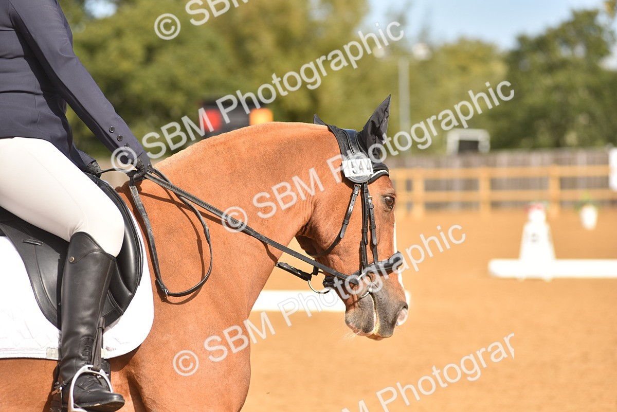 SBM_03607 - D15 - Small Tour Championship Novice 1
