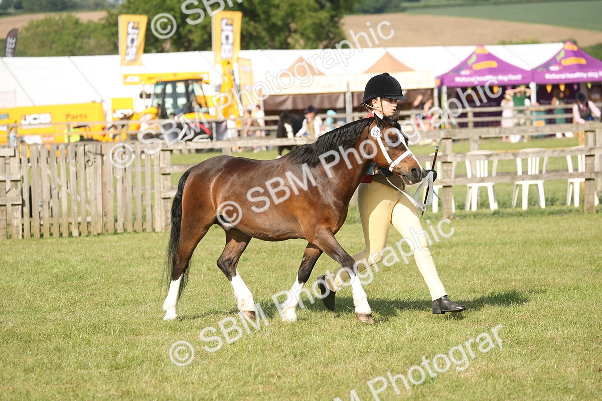 SBM_10358 - Class 33-38 - SSADL RIHS Qualifiers