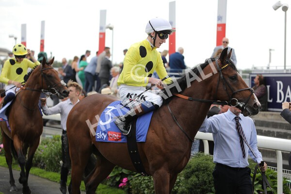 yr20082022r2-21 - Race 2 2.35pm Sky Bet Melrose Stakes