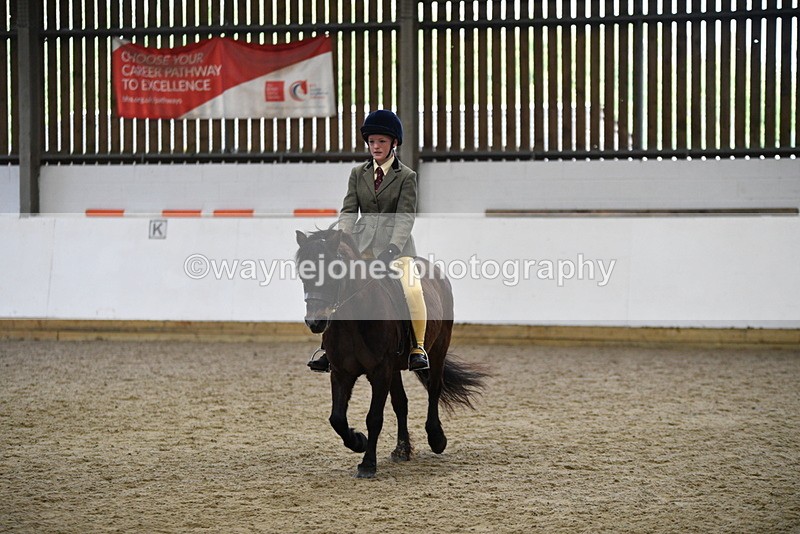 WJ5_6909 - Class 10 Childs Pony