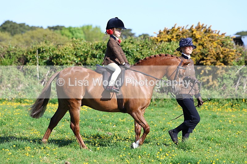 3E7A8487 - Class 2: Lead rein