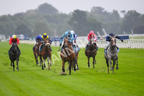 140723-Race 3-Symbology-0266 - Race 3 3.15pm William Hill Keep Your Raceday Positive Irish EBF Fillies' Novice Stakes