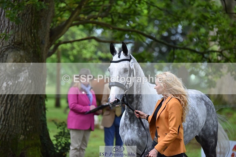 240522-172710-01615 - 287-HEY_DIXIE-Sammy_Harfield