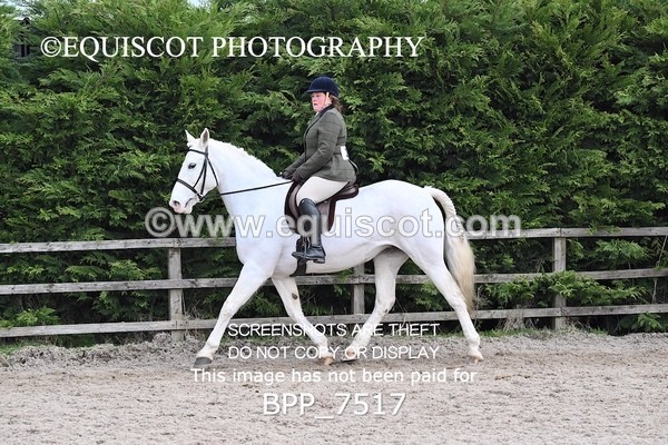 BPP_7517 - RING 1  (RIDDEN HORSES / IN HAND / VETERAN ETC)