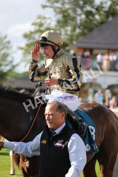 yr20082022r7-44 - Race 7 5.20pm Sky Bet Finale Stakes