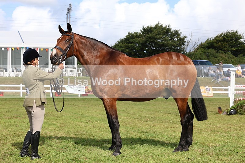 3E7A9497 - Class 4: Rising Star M/H Hunter