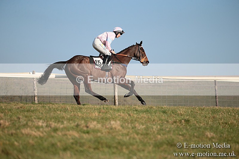 PtP 230219 410 - Vine & Craven Point-To-Point - Barbury 23/02/19