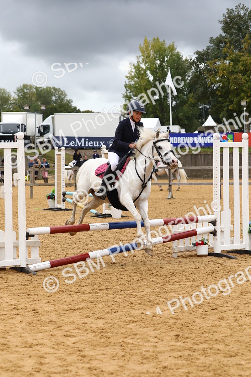SBM_62394 - J64 - Junior Pony 60cm Championship