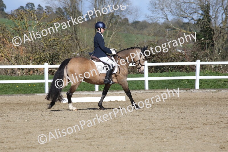 20260314-4256 - DR5 - Novice 1