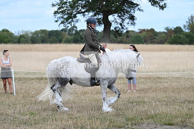 WJ7_4764 - Class 12 Ridden Cob