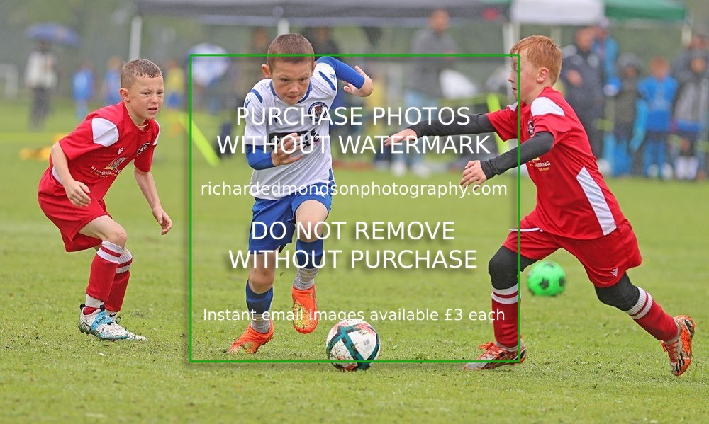 IMG_1934 - Summer Festival Photo Selection Part Two