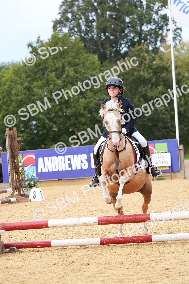 SBM_70720 - J3 - Mini Tour Junior Pony 40cm Championship