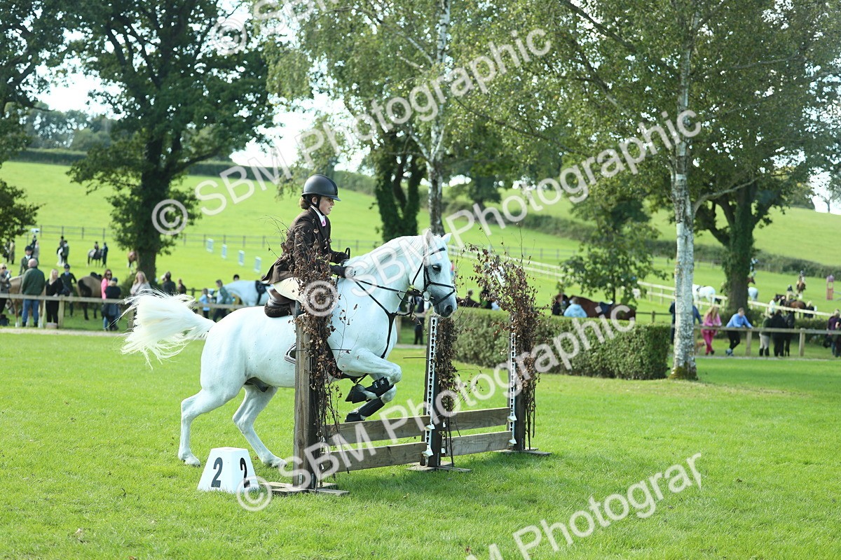 SBM_39227 - S29 - Novice & Newcomers Working Hunter Pony