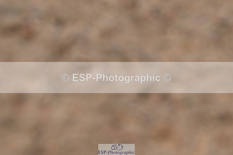 250621-155801-11952 - Cls 33 - Medium 6