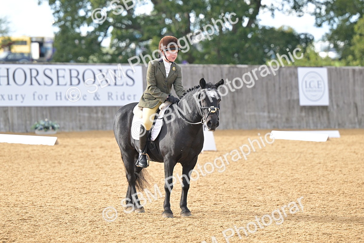 SBM_12910 - D3 - Small Tour Championship Intro 3