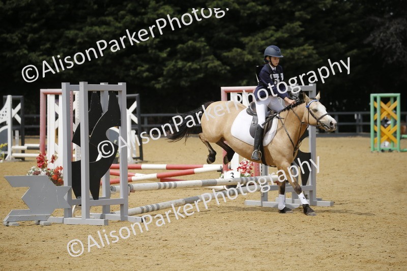 20250622-4659 - 50cm