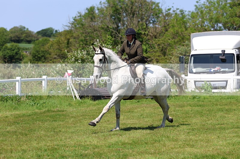3E7A8097 - Working Hunter Championship