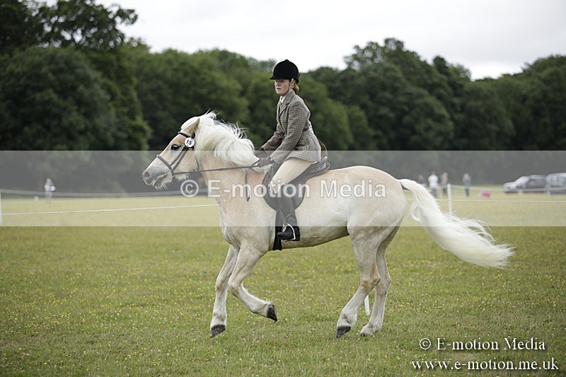 BVR160717-1530 - Ring 1 BVRC Show 16/07/17