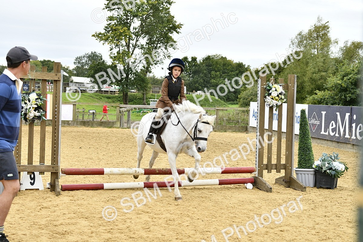 SBM_66181 - J2a mini Tour Junior Pony 30cm Championship