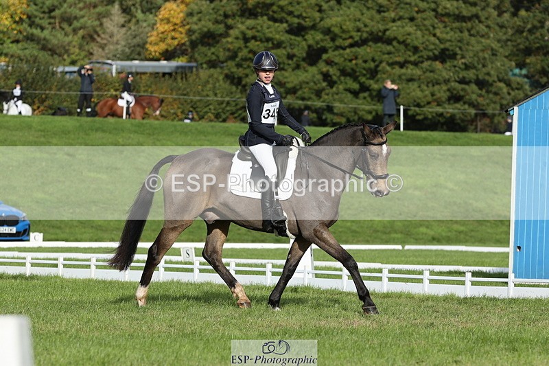 251024A-102834-07770 - D-345-Neve.Webber