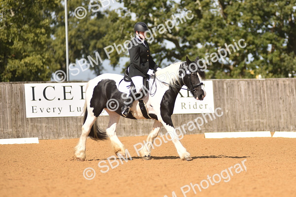 SBM_03389 - D4 - Small Tour Championship Intro 4