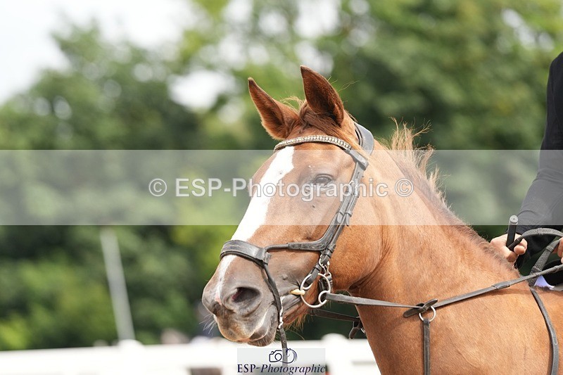 250731-103258-01396 - Cls 08  85cm Nat Am Qual