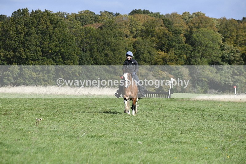 _DSC5667 - Time 10:49 to 11:23