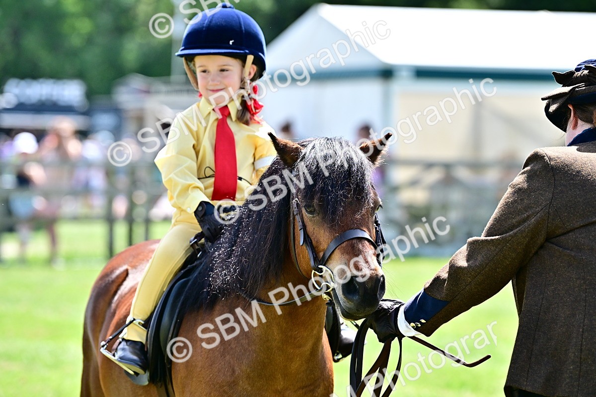 SBM_05895 - Class 59-60 - TSR M&M  Lear Rein and First Ridden Amateur of the year