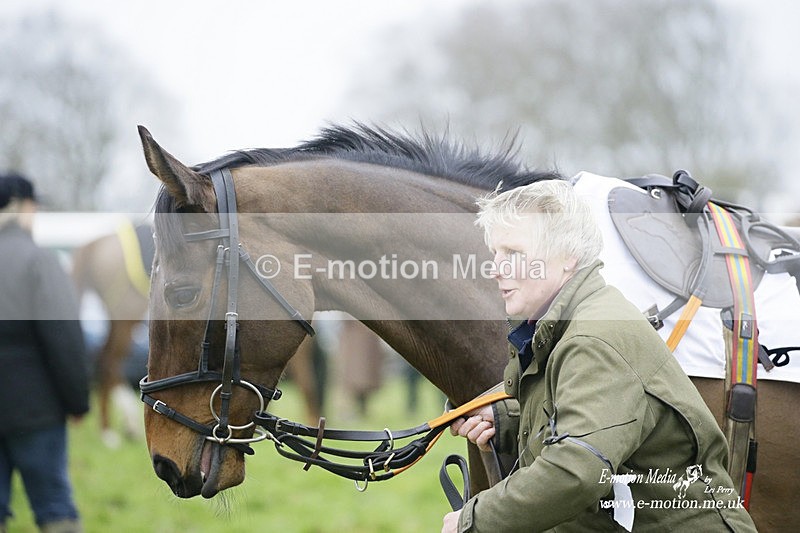 PtP 200222 542 - Countryside Alliance PtP Badbury Rings 20/02/22