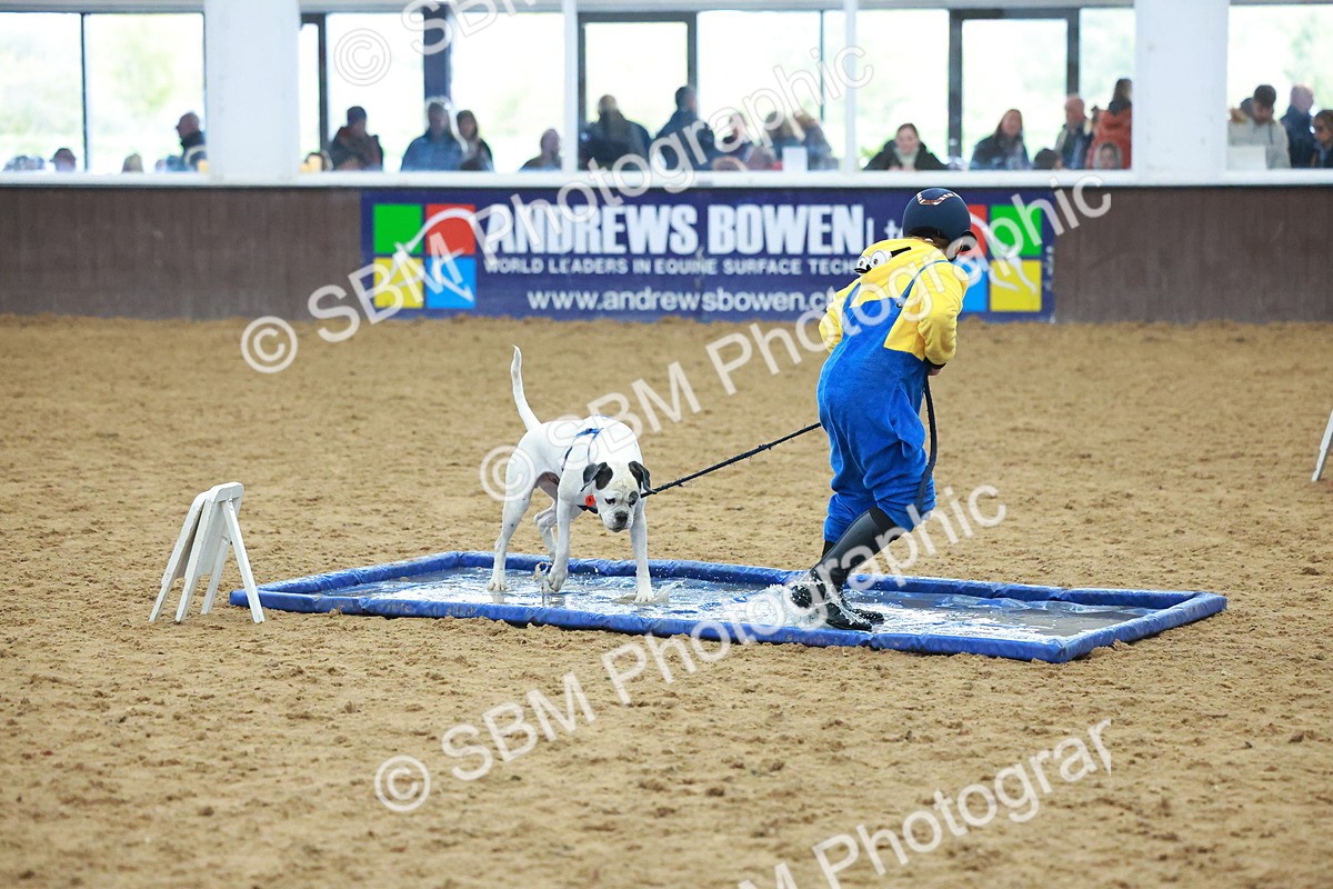 SBM_002298 - Class 3 - Horse & Hound (60cm)