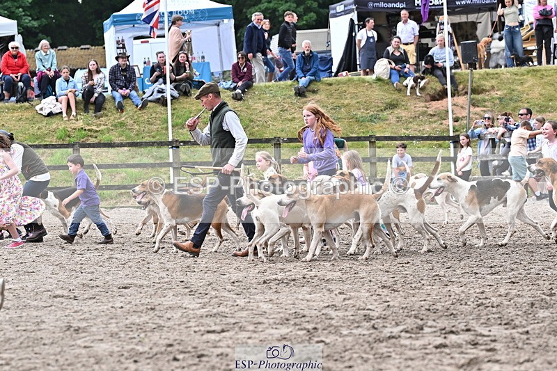 250524A-152920-12801 - East Devon Hounds