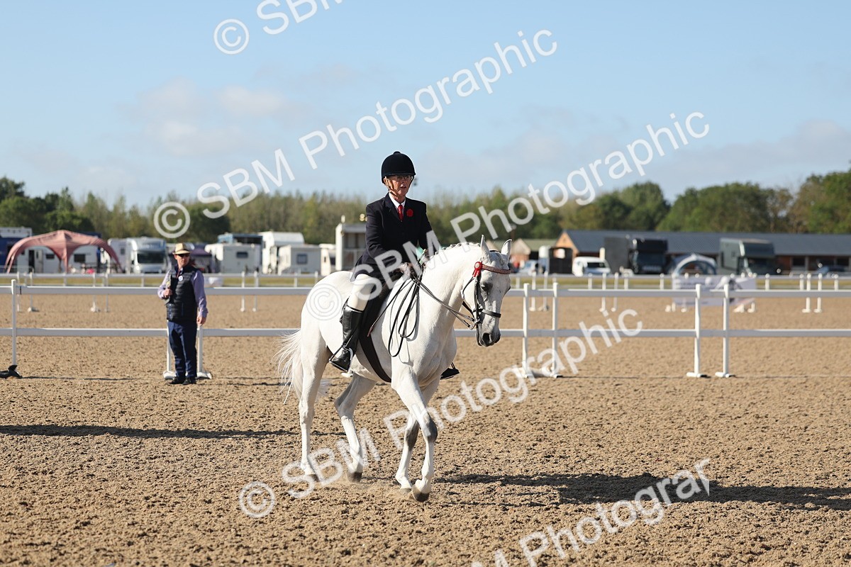 SBM_22304 - Class 803 - Ridden Combination 65+